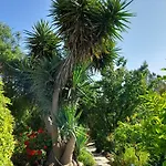 Vakantiehuis Oleander Stone House *