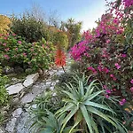 Oleander Stone House * Lemona