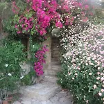 Oleander Stone House