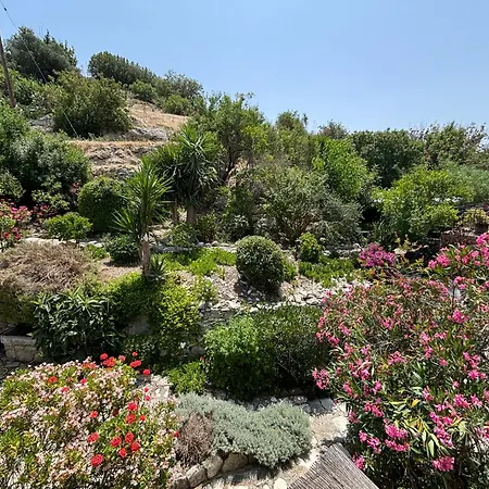 Oleander Stone House * Lemona