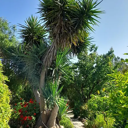Casa de Férias Oleander Stone House *