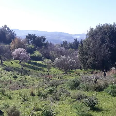 Oleander Stone House בית נופש Lemona