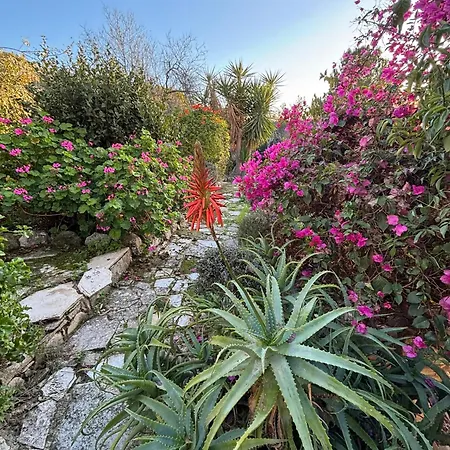 Oleander Stone House * Lemona
