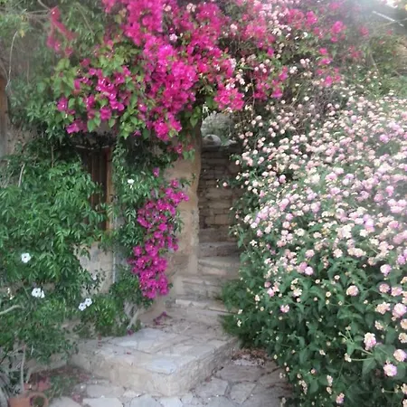 Oleander Stone House