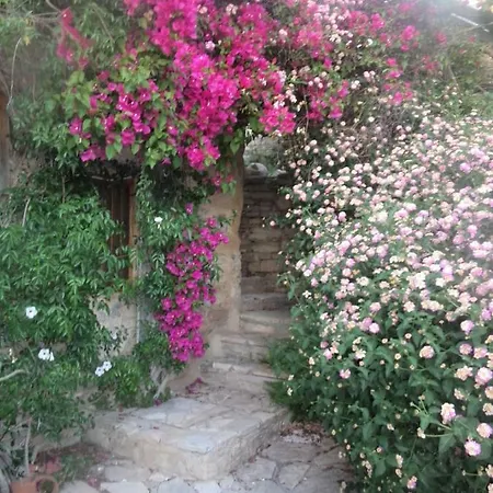 Oleander Stone House