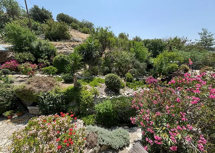 Oleander Stone House * Lemona