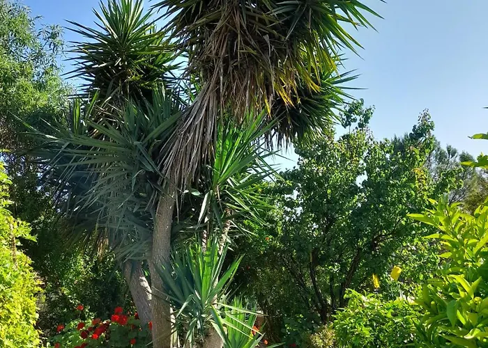 בית נופש Oleander Stone House *