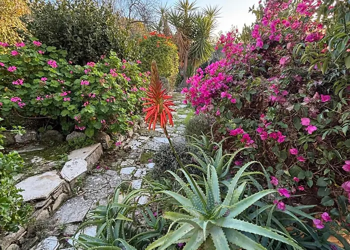 Oleander Stone House * Lemona