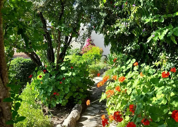 Vakantiehuis Oleander Stone House