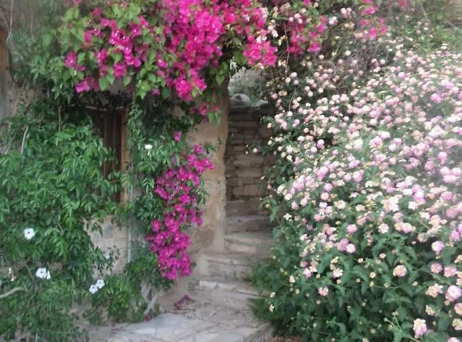 Oleander Stone House