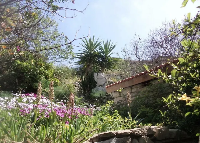 Oleander Stone House בית נופש